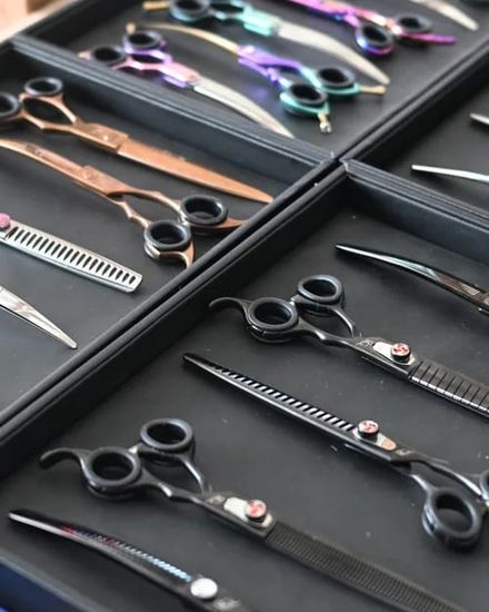 Grooming scissors and thinning shears laid out in trays